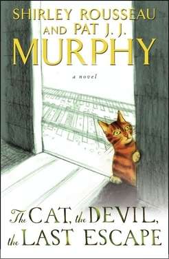 Cover of The Cat, the Devil, the Last Escape